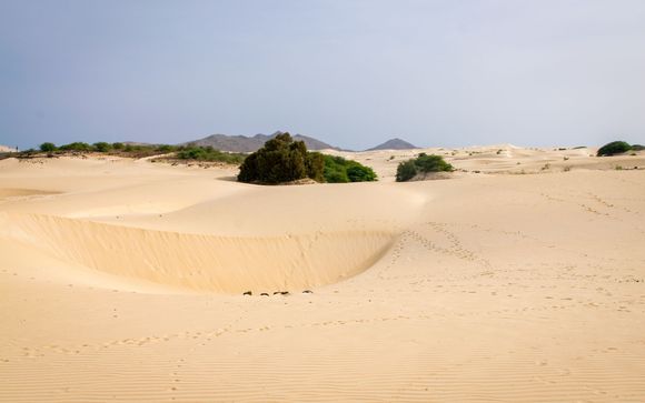 ¡Completa tu estancia!