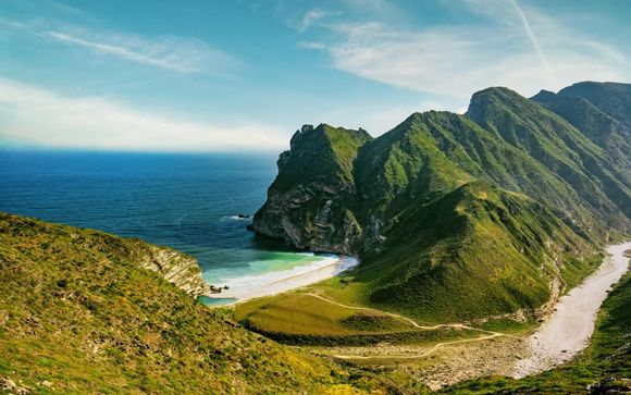 Tu actividad incluida 