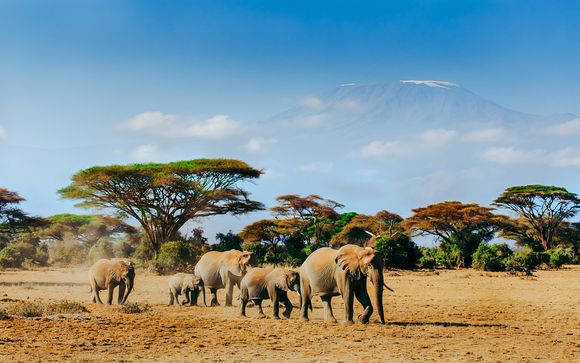 Tu safari