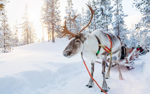 ¡Completa tu estancia!