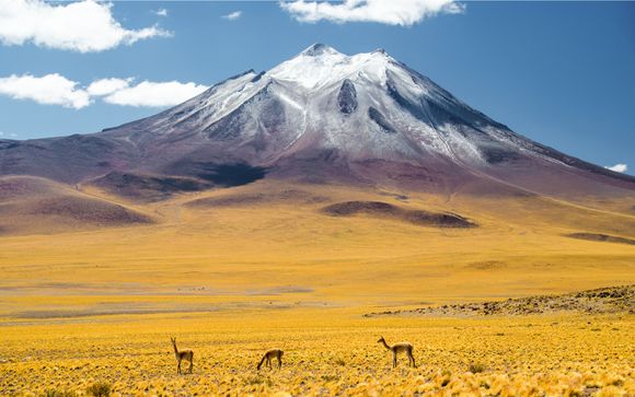 Tu itinerario
