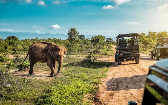 ¡Completa tu estancia!