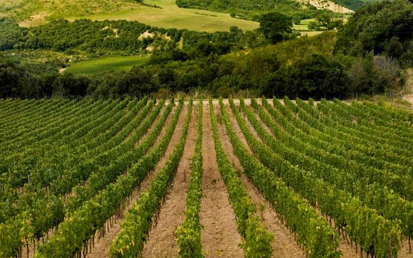 Montalcino te espera