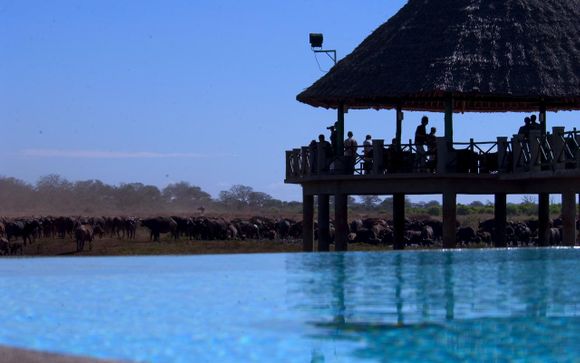 Safari