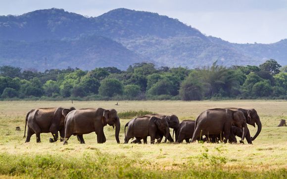 Itinerario - Salidas en grupo