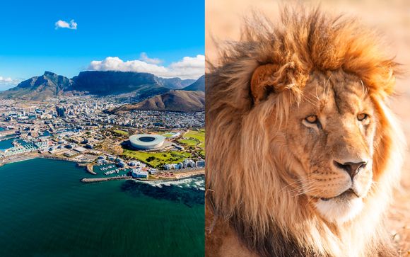 Ciudad del Cabo y Aquila Private Game Reserve