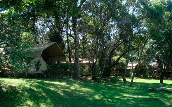 Campamento en Mara River Camp