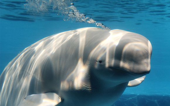 Itinerario - Salidas en grupo