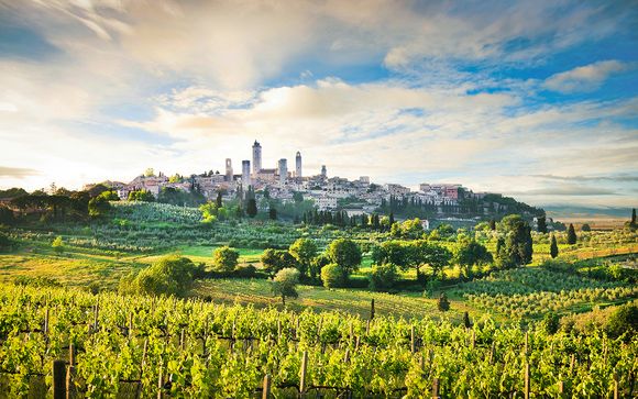 Inmersión en el corazón de los viñedos italianos
