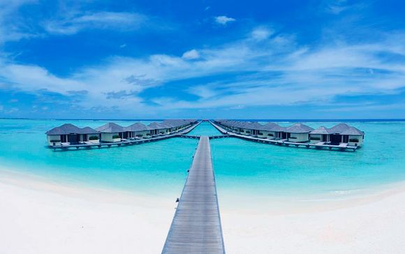 El Paraíso te espera