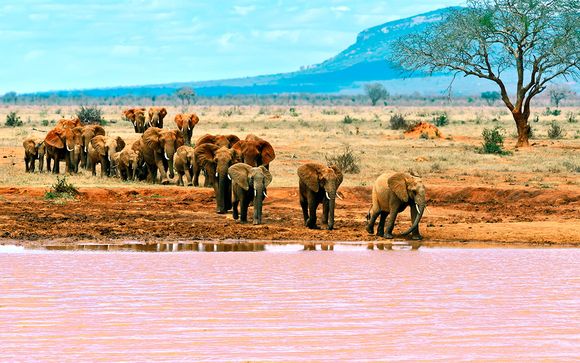 12 Noches: con Safari de 4 días y 3 noches a Tsavo East / Amboseli / Taita Hills Saltlick (opcional)
