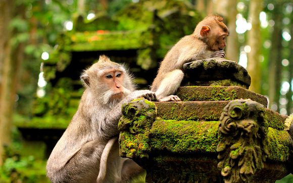 Itinerario / Salidas en grupo