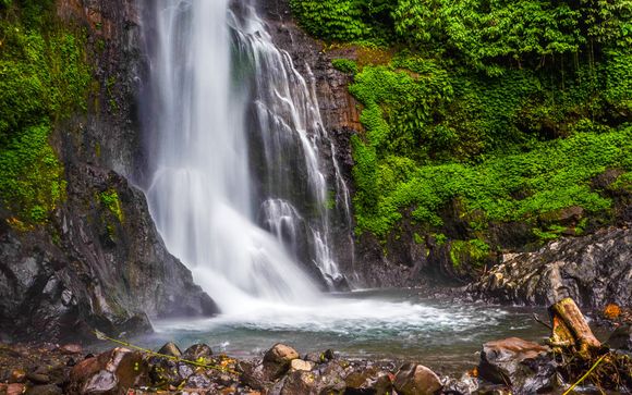 Itinerario / Salidas en grupo