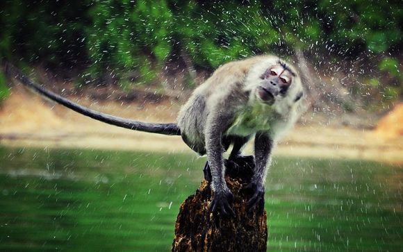 Itinerario - Salidas en grupo