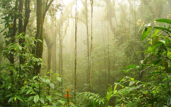 Itinerario de 9 noches