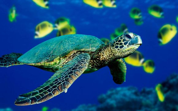 Itinerario - Salidas en grupo