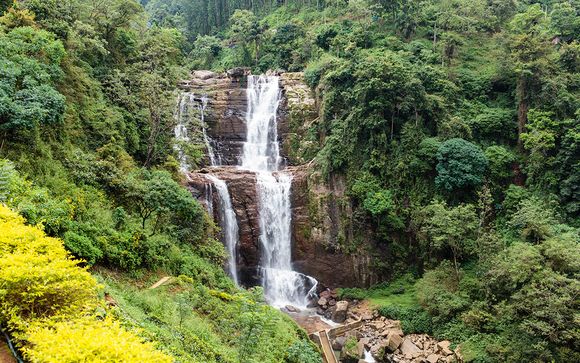 Itinerario - Salidas en grupo