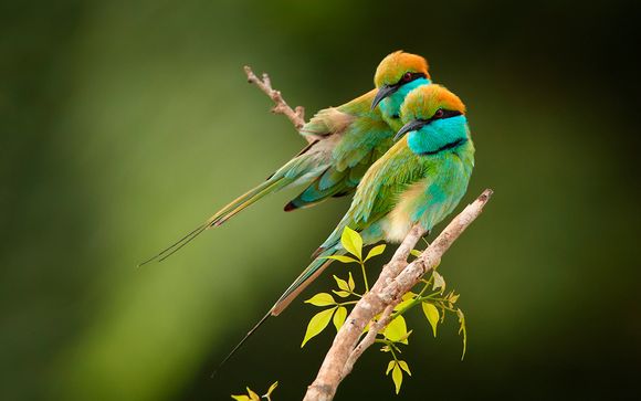Itinerario - Salidas en grupo