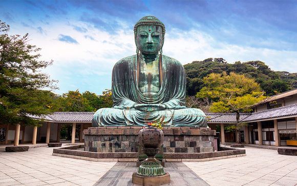 Hoteles previstos o similares