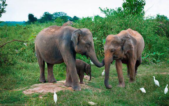 Itinerario 8 noches - Salidas en grupo