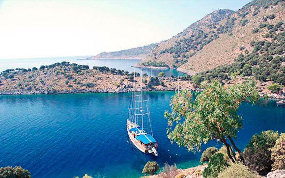 Crucero con posible pre-extensión a Estambul
