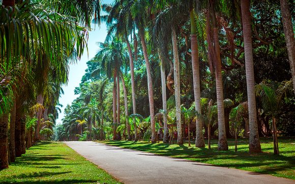 Itinerario - Salidas en grupo