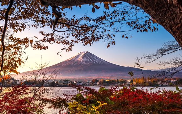 Detalles del itinerario