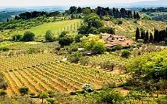 ¡Completa tu estancia!