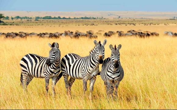 Itinerario - Salidas en grupo