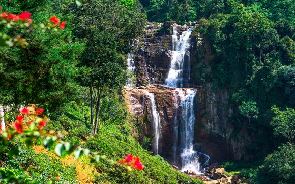 Itinerario - Circuito privado