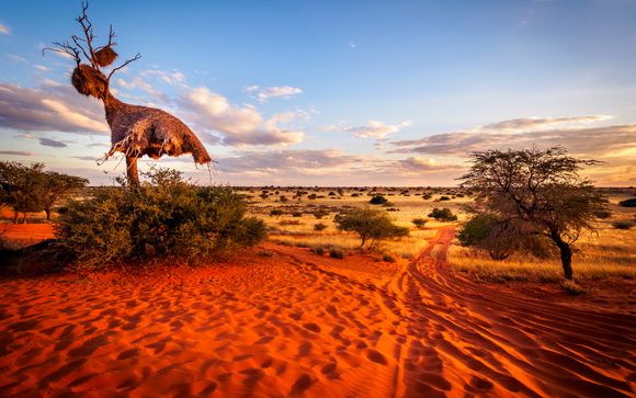 Itinerario - Salidas en grupo