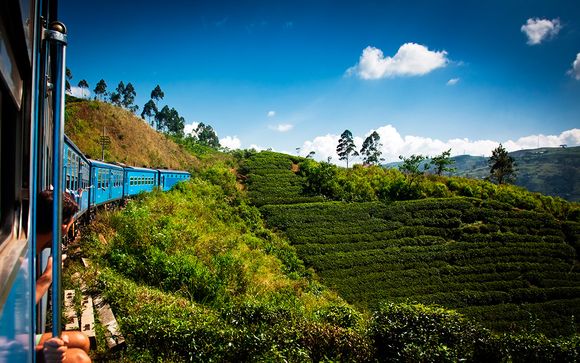 Itinerario - Salidas en grupo