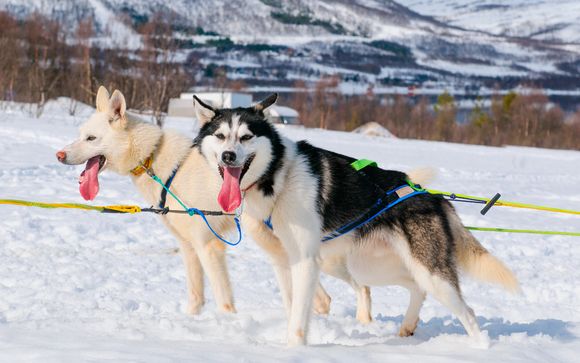 Itinerario - Salidas en grupo