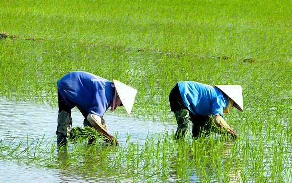 Itinerario - Salidas en grupo