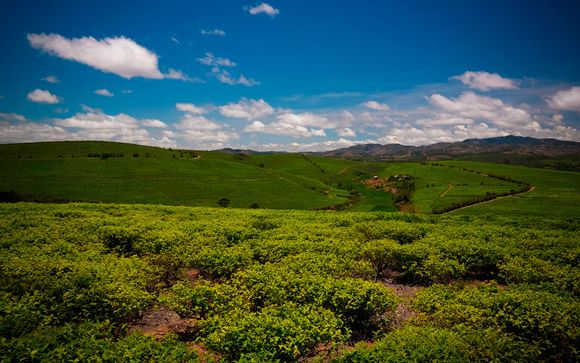 Itinerario - Salidas en grupo