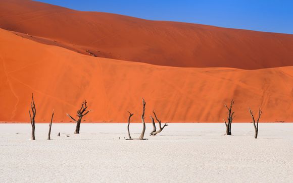 Itinerario - Salidas en grupo