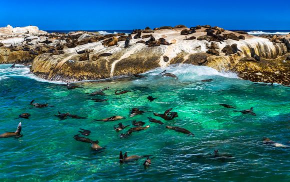 Itinerario - Salidas en grupo