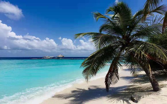  Eriyadu Island Resort Maldivas