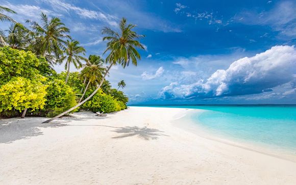 Rendez-vous... aux Maldives