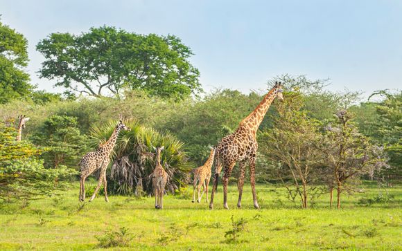Rendez-vous... en Tanzanie