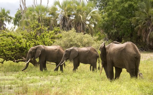 Rendez-vous... en Tanzanie