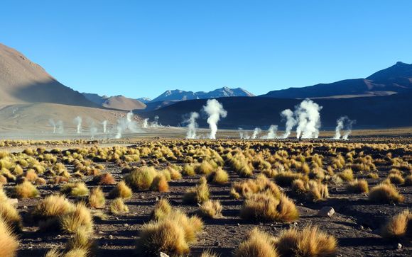 Mettez une option sur l