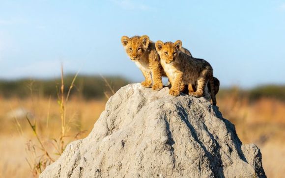 Rendez-vous... au Kenya et en Tanzanie