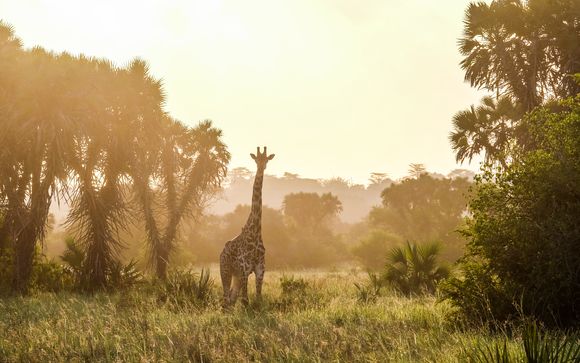 Zoom sur votre safari