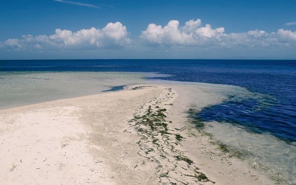 Zoom sur votre programme