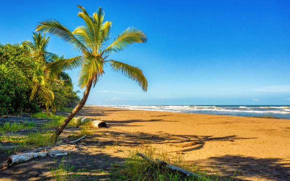 Zoom sur votre programme