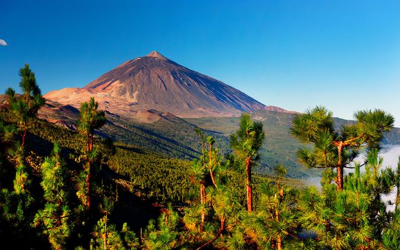 Mettez une option sur l