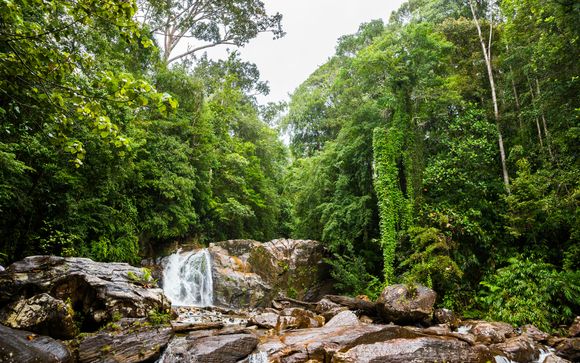 Mettez une option sur l