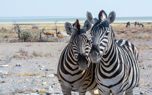 Mettez une option sur l