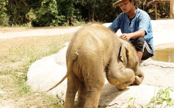 Mettez une option sur l